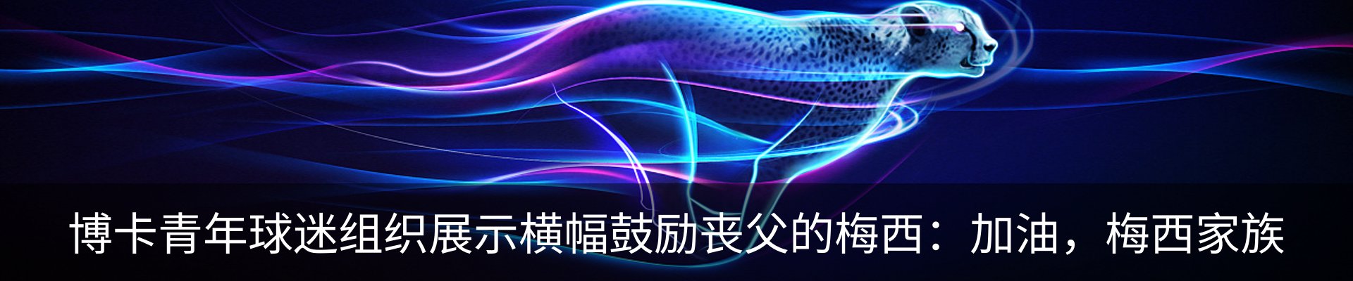 资讯动态